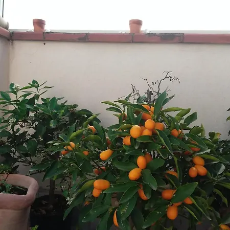 Casa Maramax *