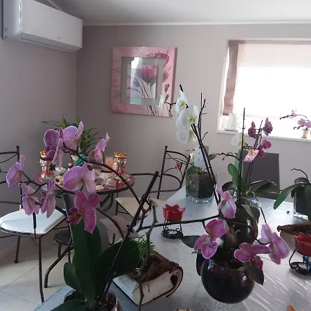 Casa Maramax Apartment Acireale